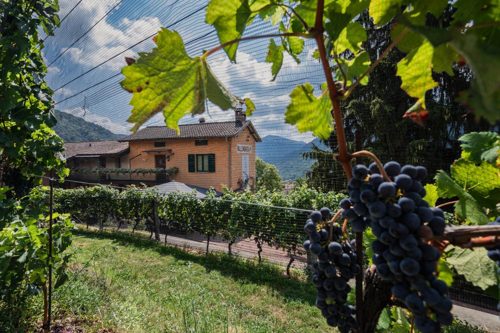 Wine & Art Relais Vallombrosa Bed & Breakfast Lugano Exterior photo