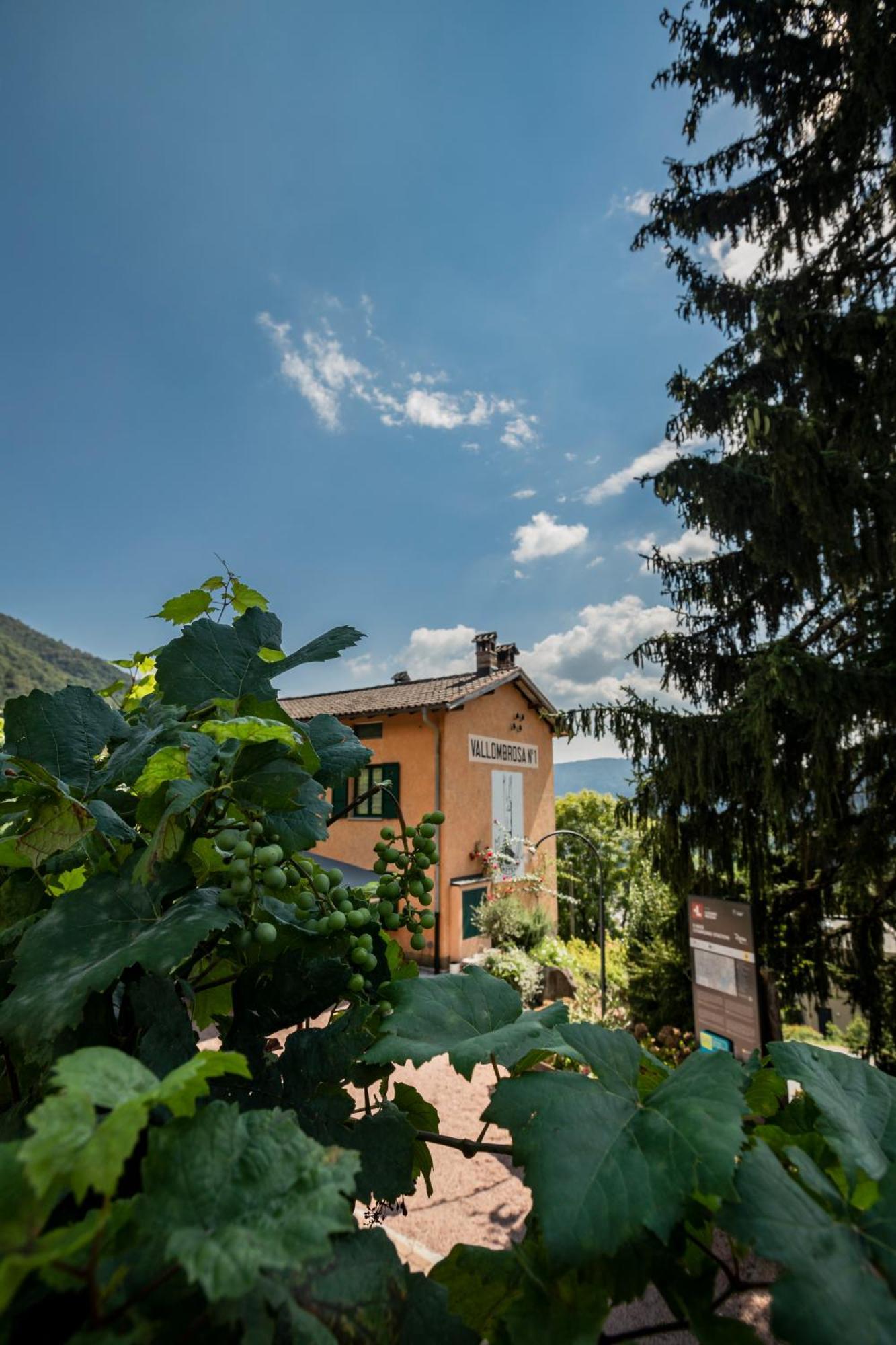 Wine & Art Relais Vallombrosa Bed & Breakfast Lugano Exterior photo